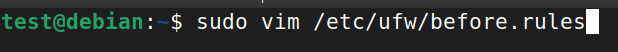 Opening /etc/ufw/before.rules with sudo vim