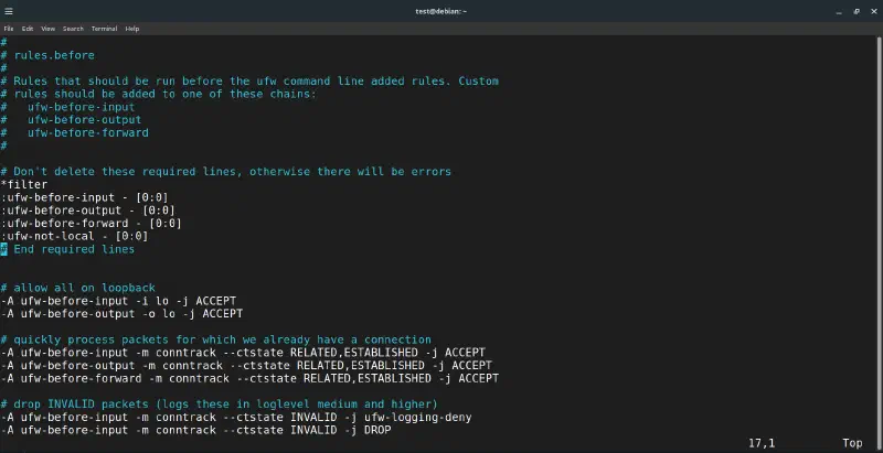 The default /etc/ufw/before.rules filter section before any custom rules