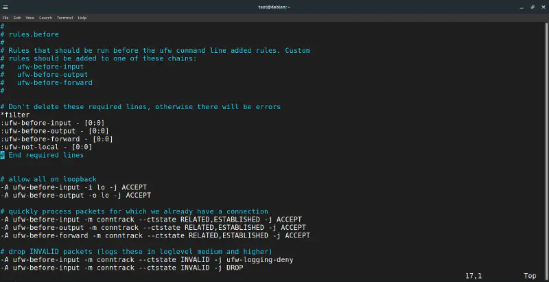 The default /etc/ufw/before.rules filter section before any custom rules