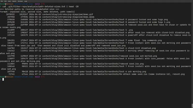 path-deleted-sizes.txt showing every deleted file ranked by size, with ScreenShots PNGs dominating
