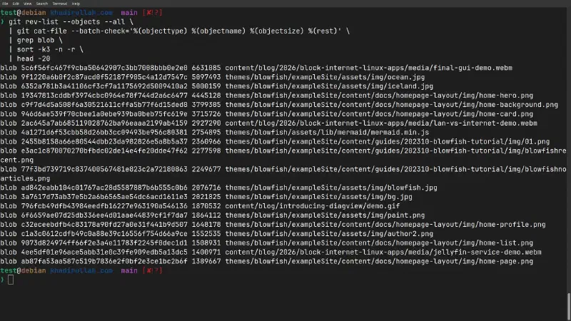 The 20 largest blobs in my repo history, with theme assets and blog media dominating
